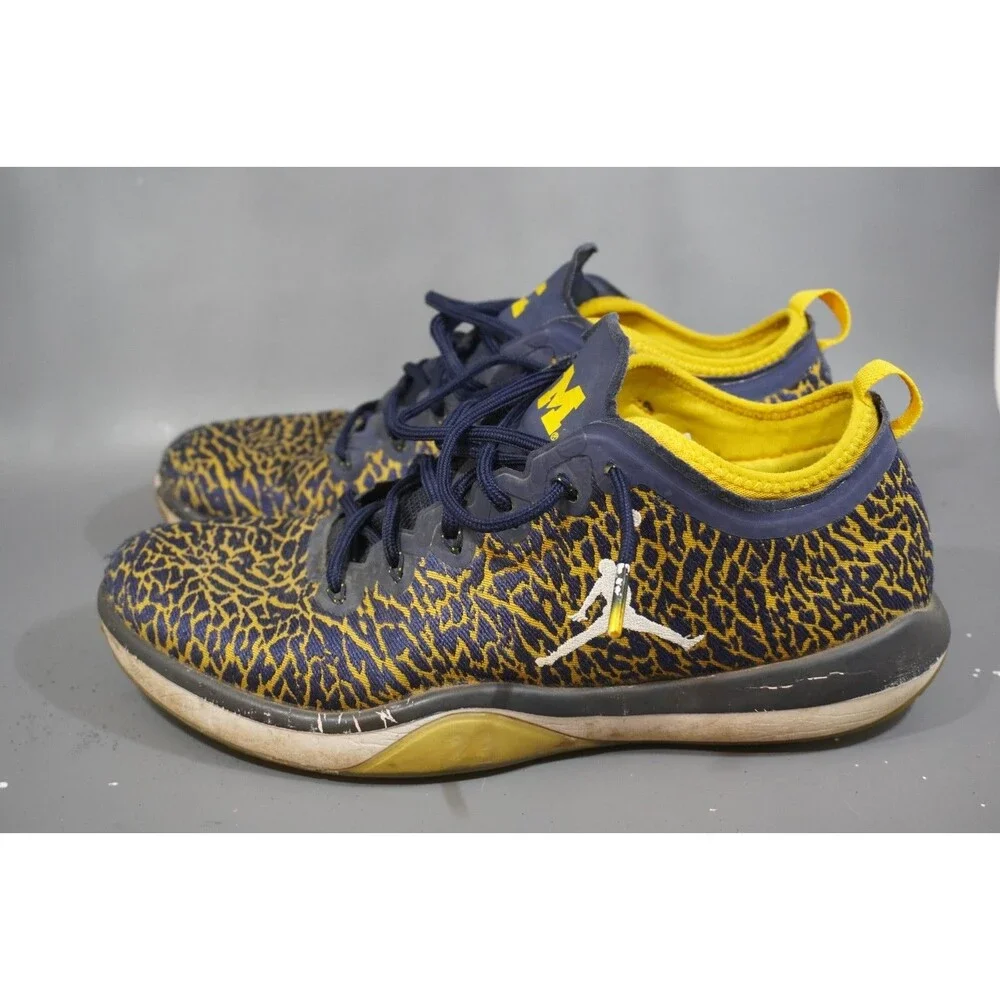 Jordan nike trainer